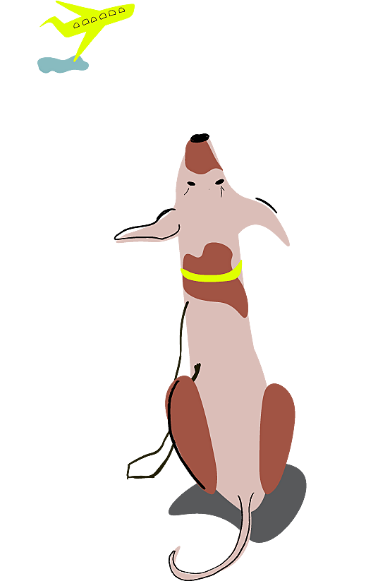 Indigo Design Award: Hound Will Travel (Concept Work)