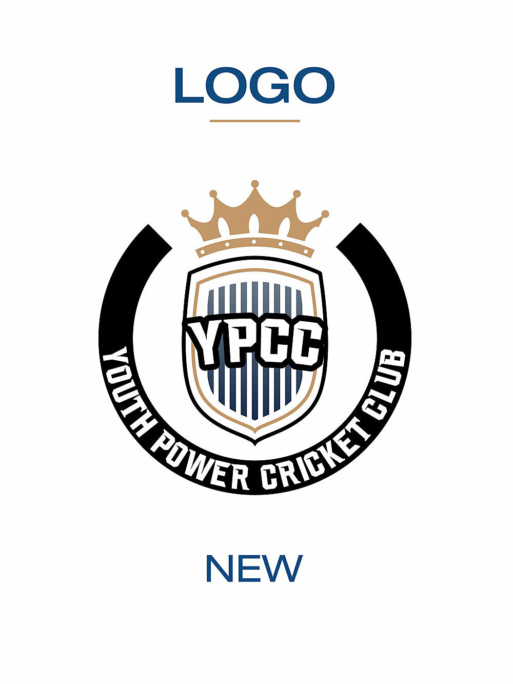 Cricket Team Rebranding